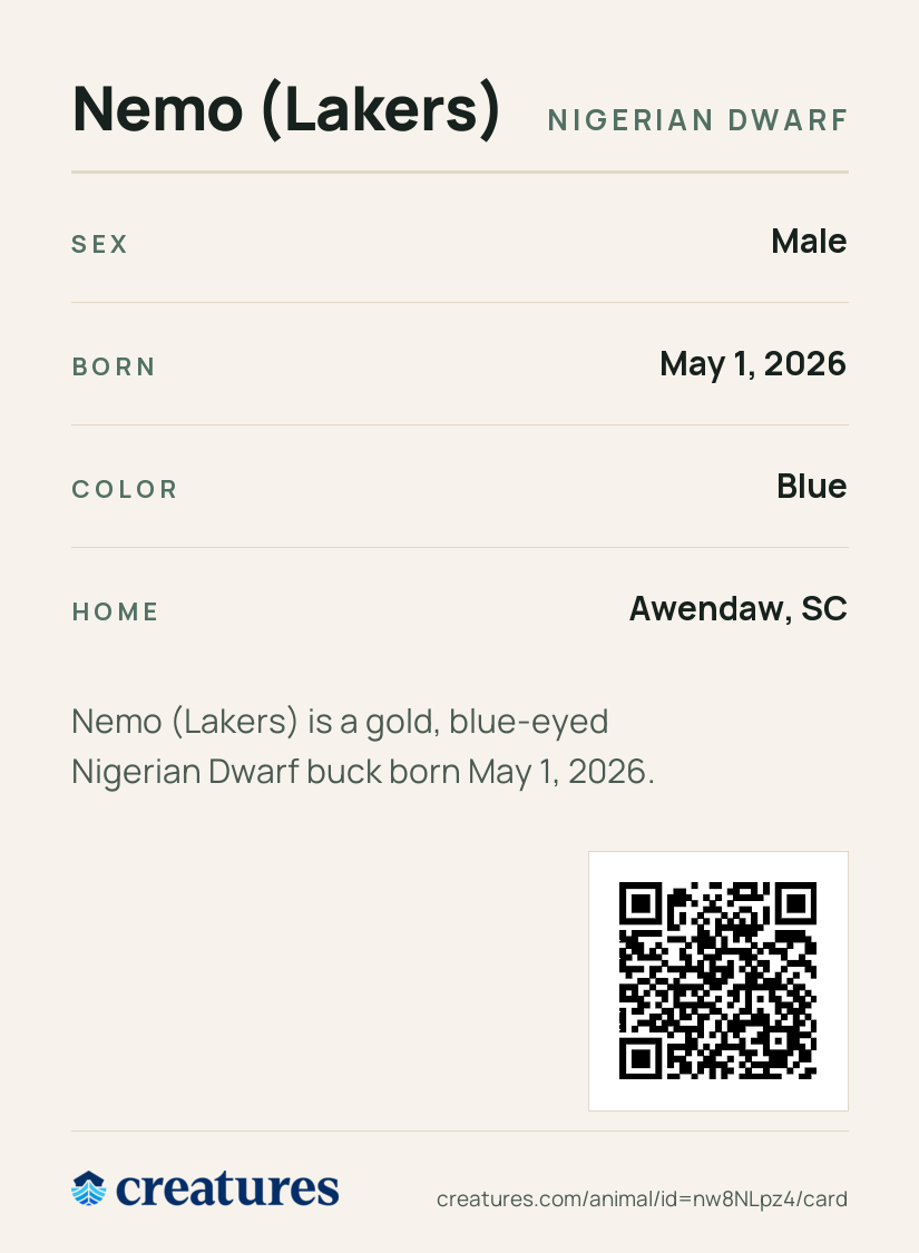 Nemo (Lakers) Creature Card back