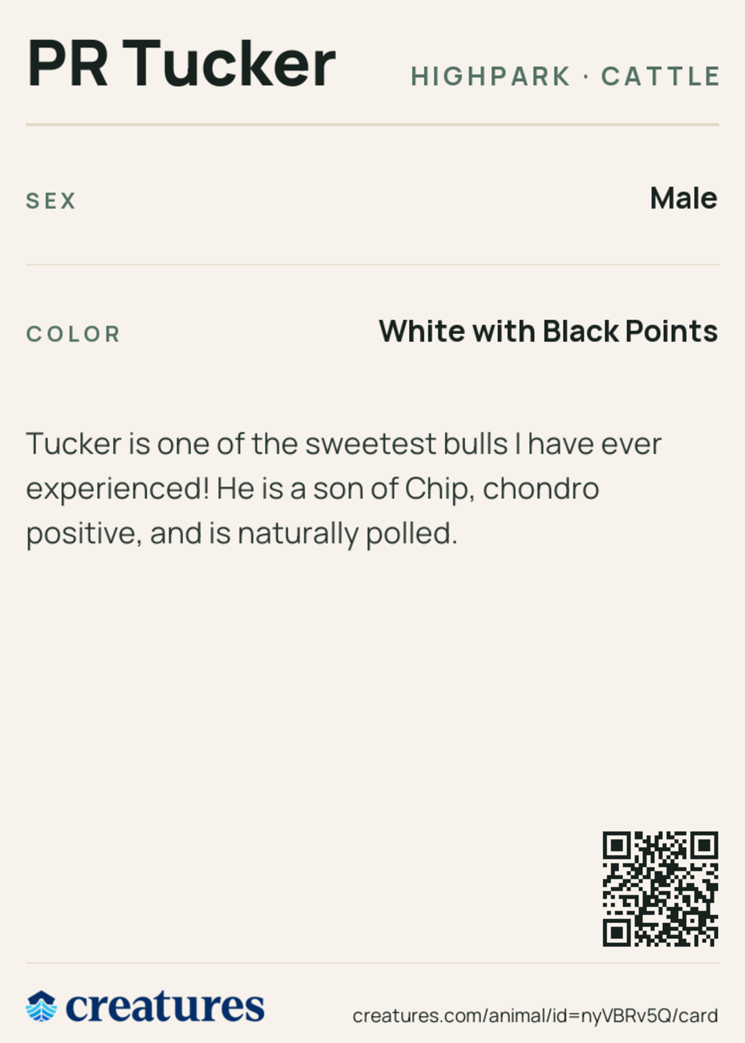 PR Tucker Creature Card back