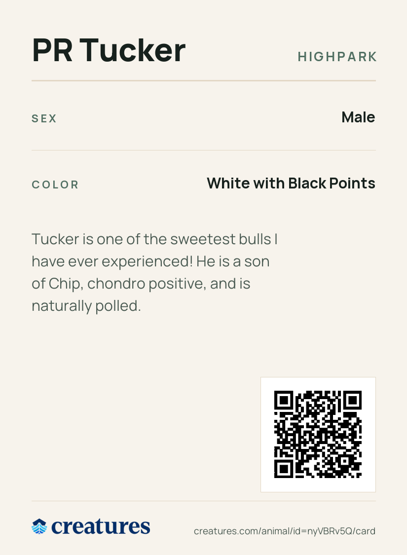 PR Tucker Creature Card back