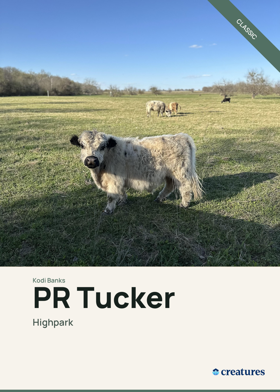 PR Tucker Creature Card