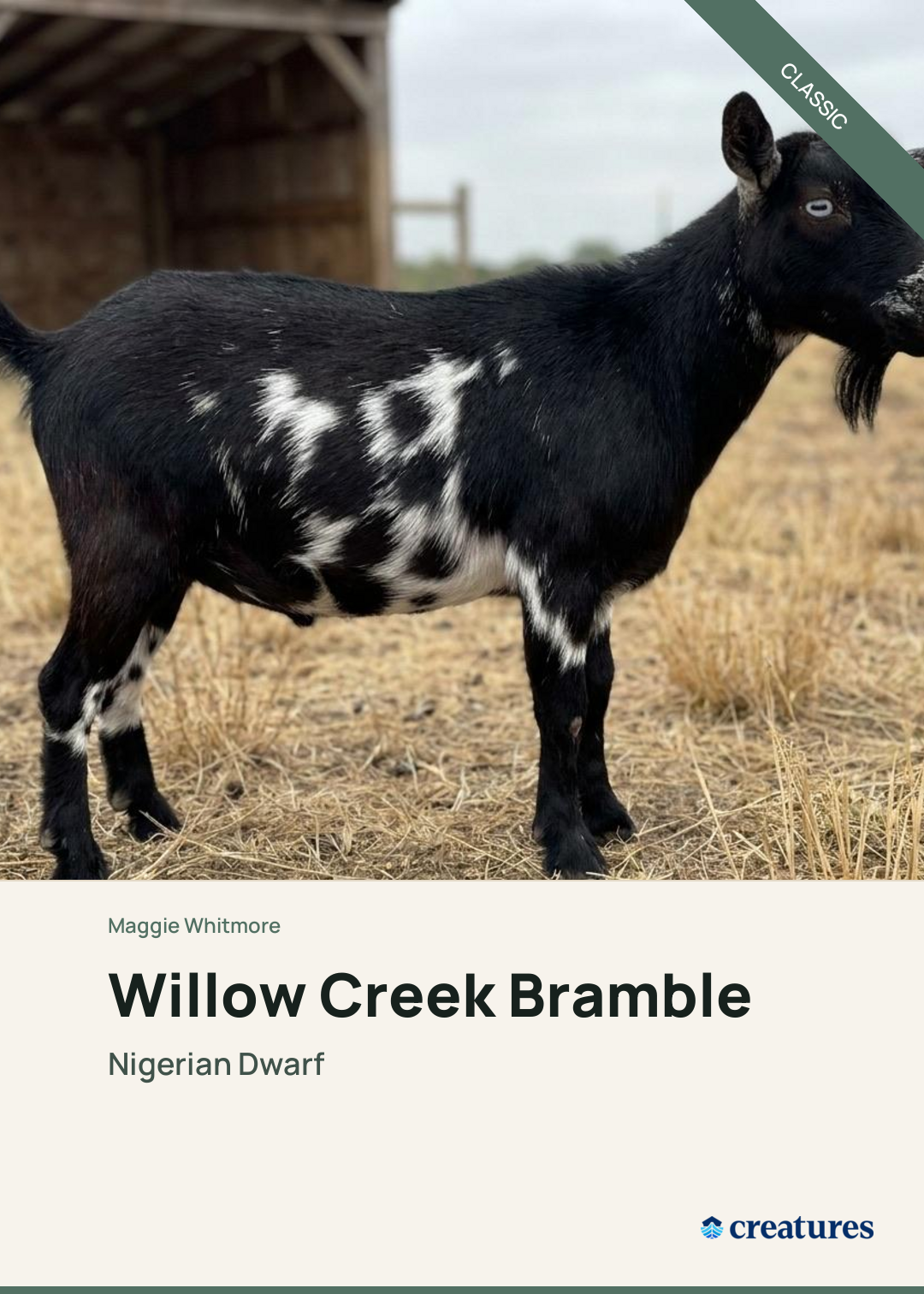 Willow Creek Bramble Creature Card