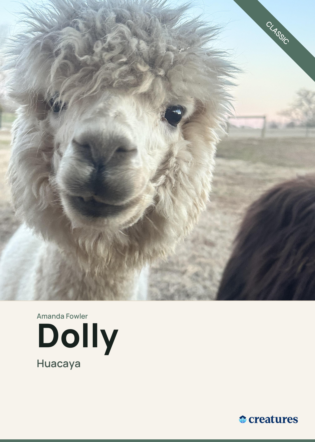Dolly Creature Card