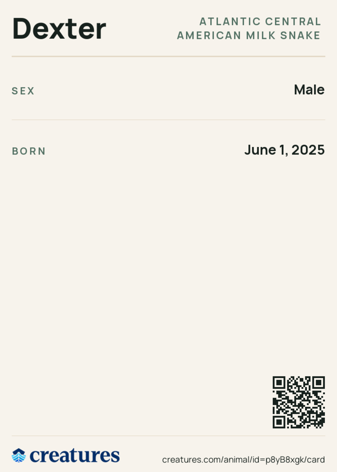Dexter Creature Card back