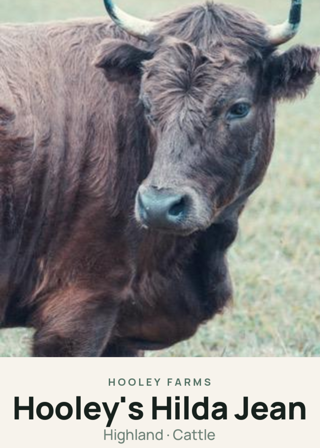 Hooley's Hilda Jean Creature Card