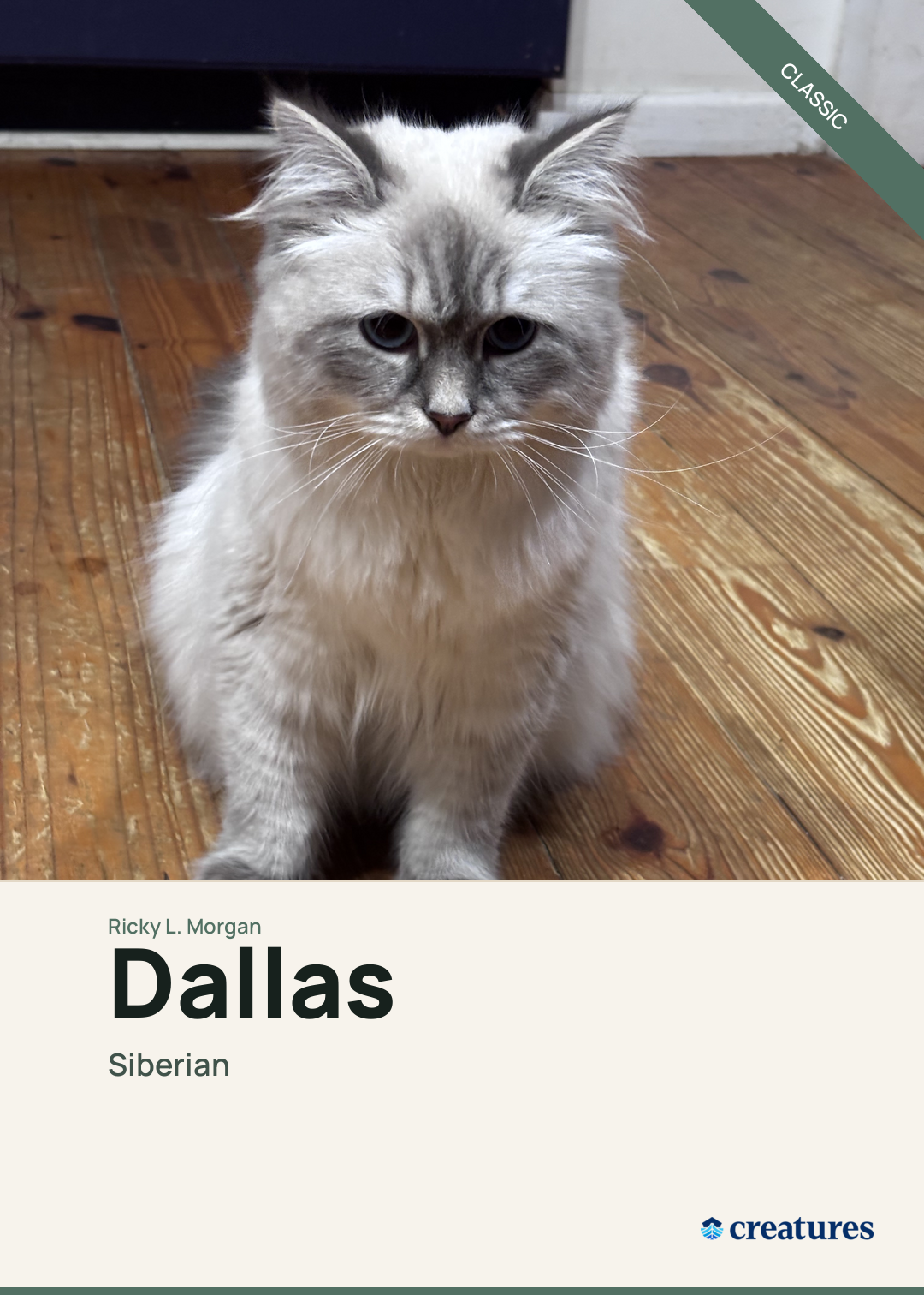 Dallas Creature Card