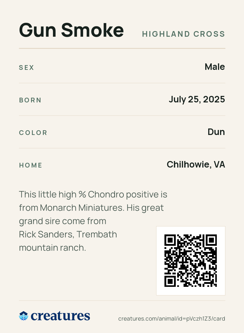 Gun Smoke Creature Card back