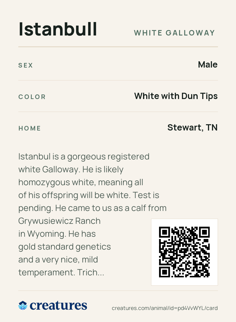 Istanbull Creature Card back