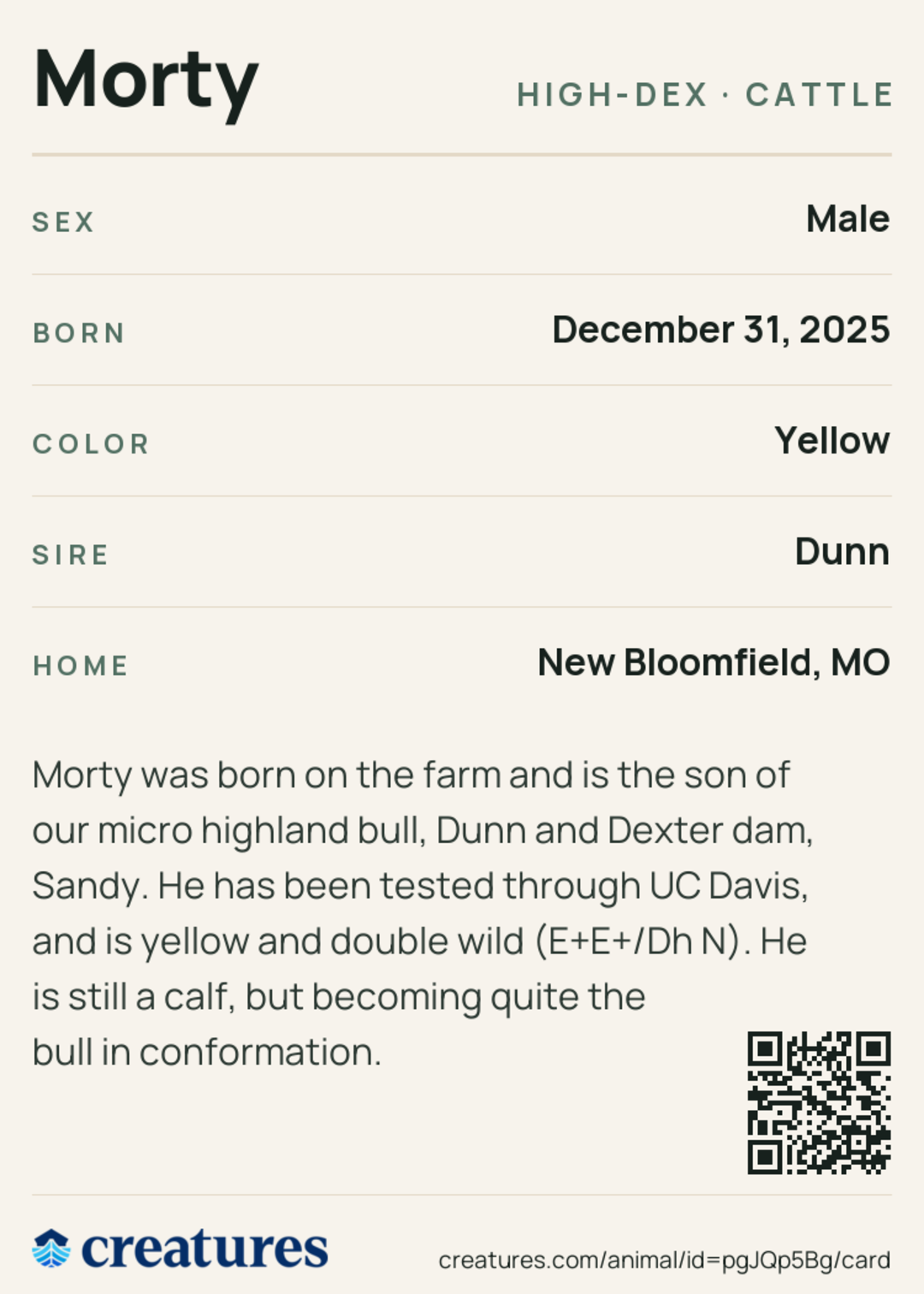 Morty Creature Card back
