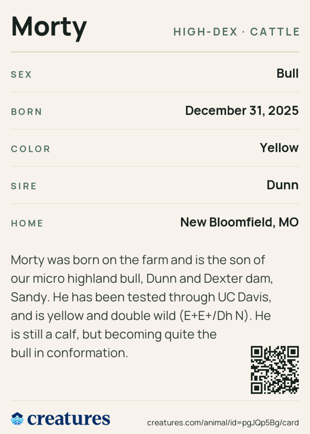 Morty Creature Card back