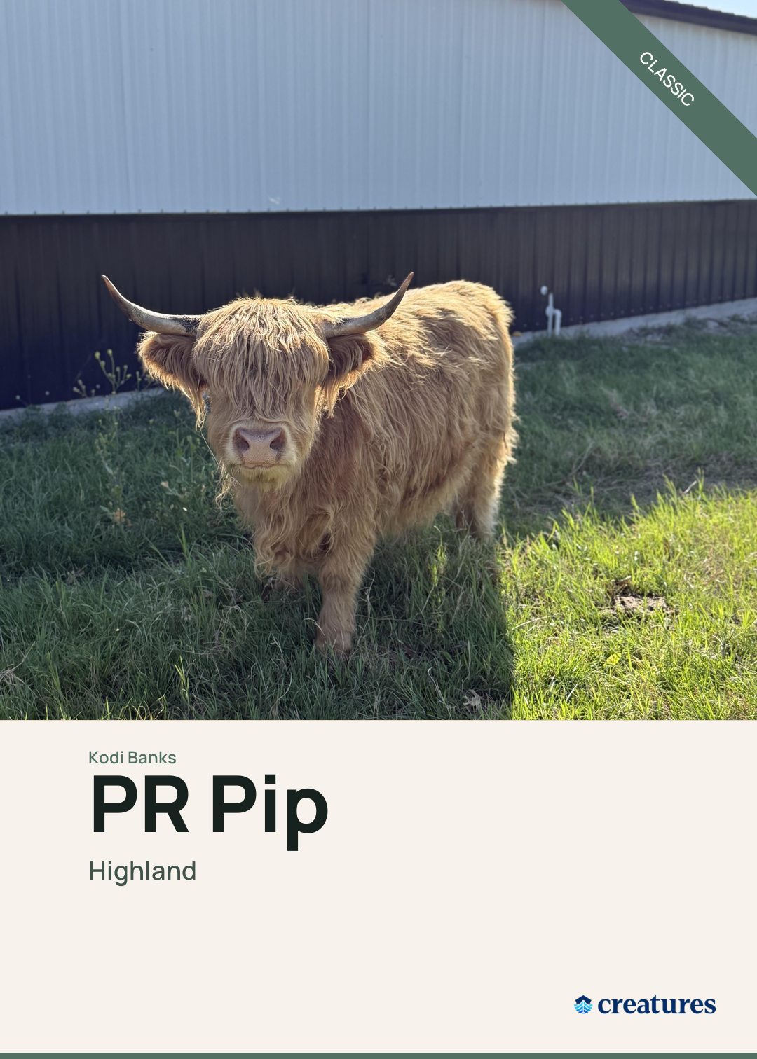 PR Pip Creature Card