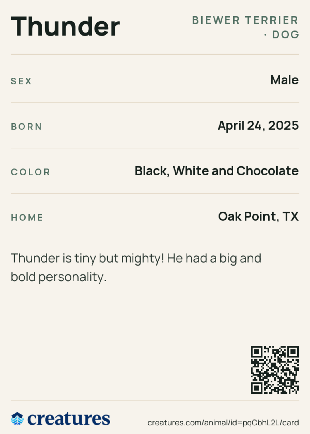 Thunder Creature Card back