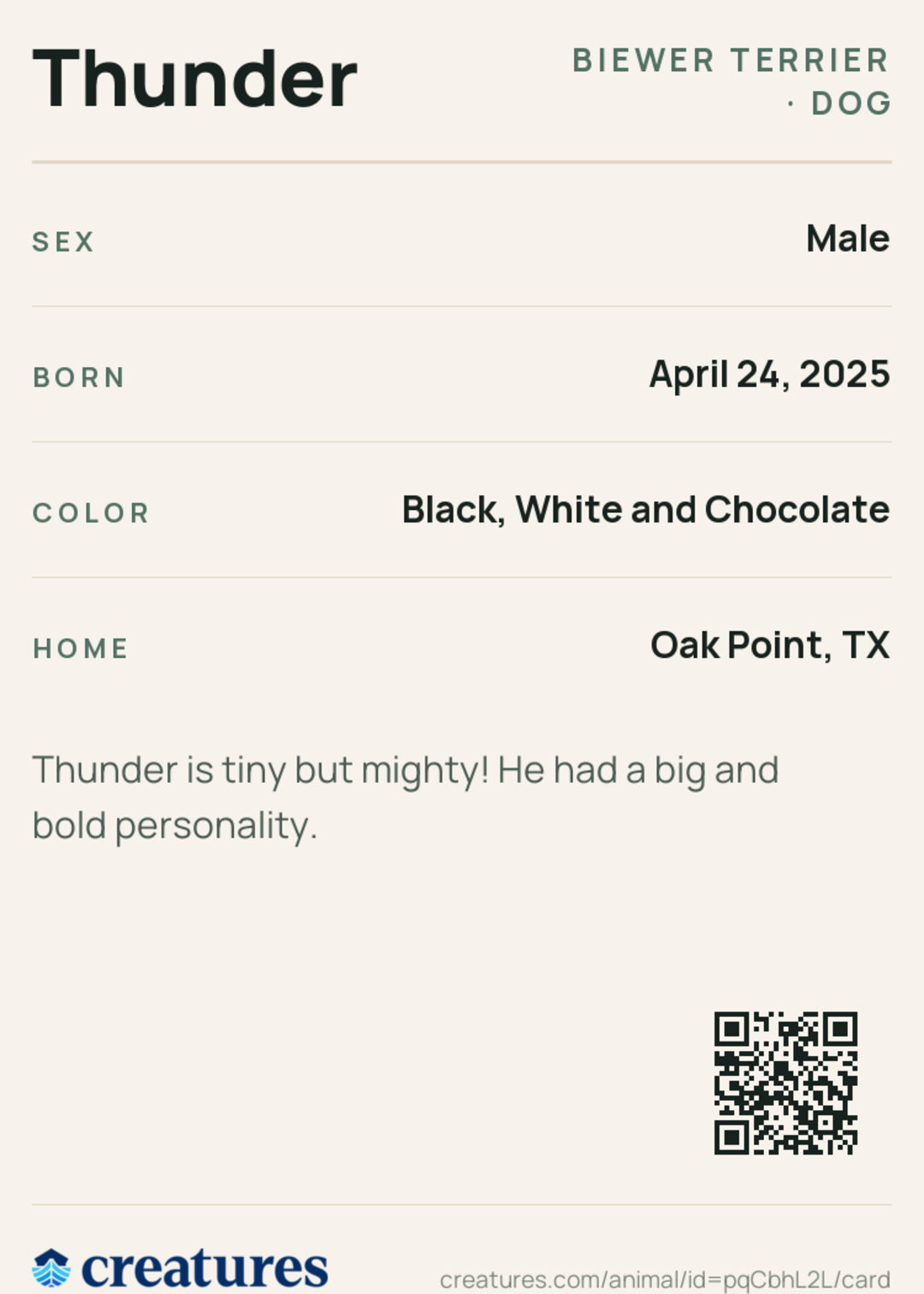 Thunder Creature Card back