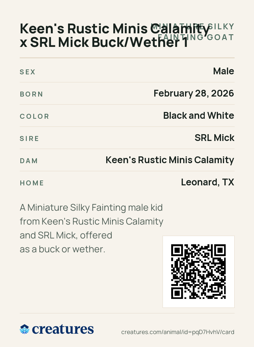 Keen's Rustic Minis Calamity x SRL Mick Buck/Wether 1 Creature Card back