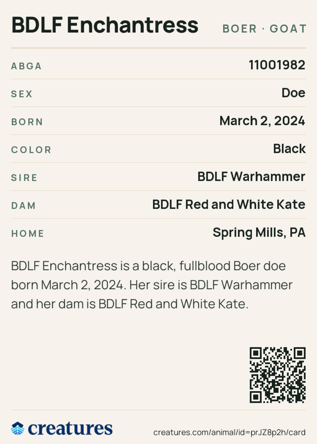 BDLF Enchantress Creature Card back