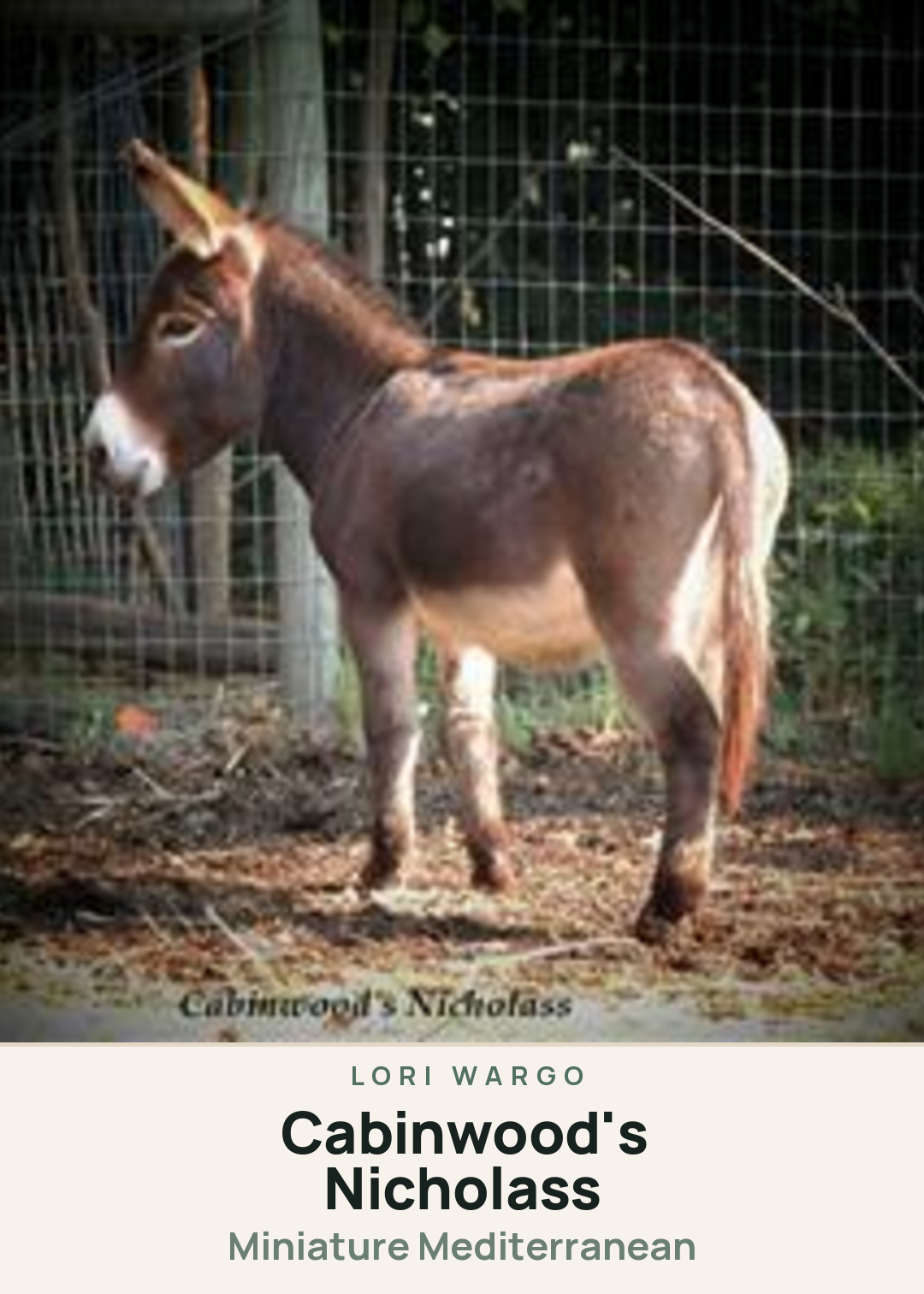Cabinwood's Nicholass Creature Card