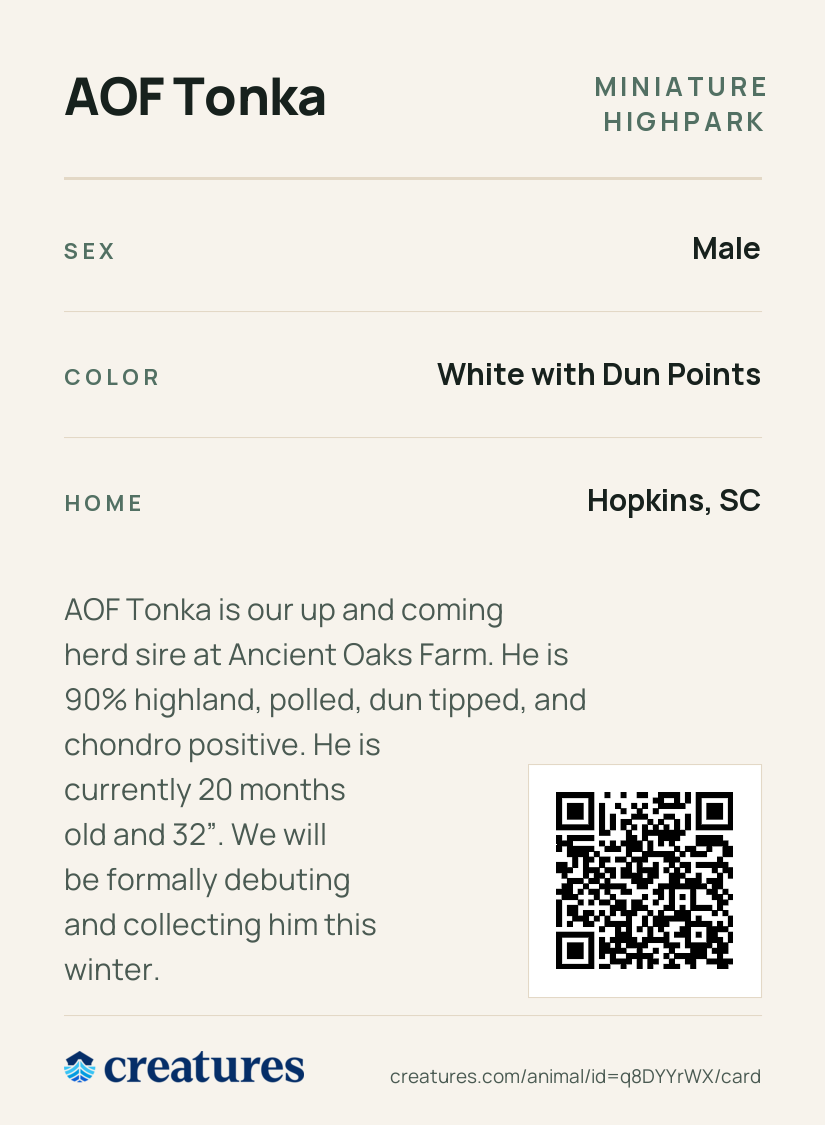 AOF Tonka Creature Card back