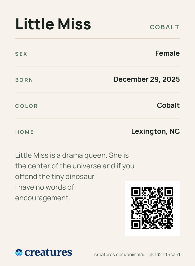 Little Miss Creature Card back