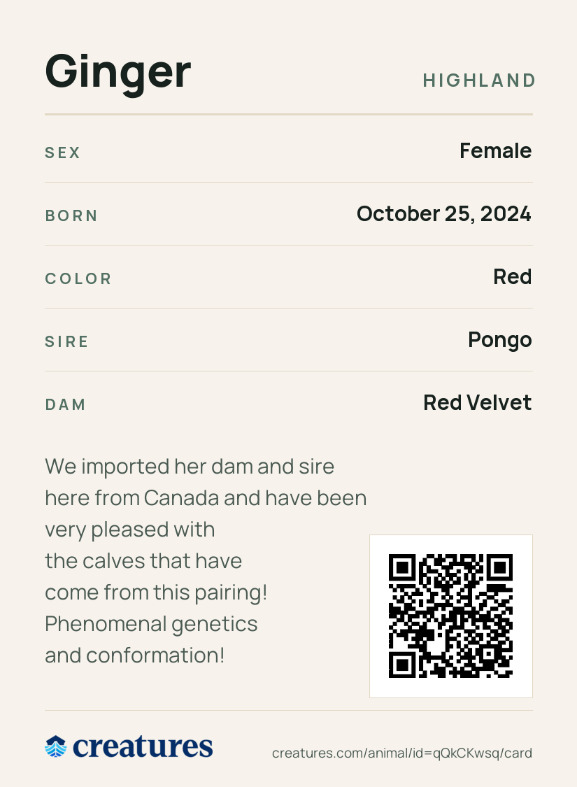 Ginger Creature Card back