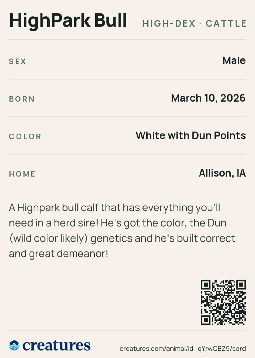 HighPark Bull Creature Card back
