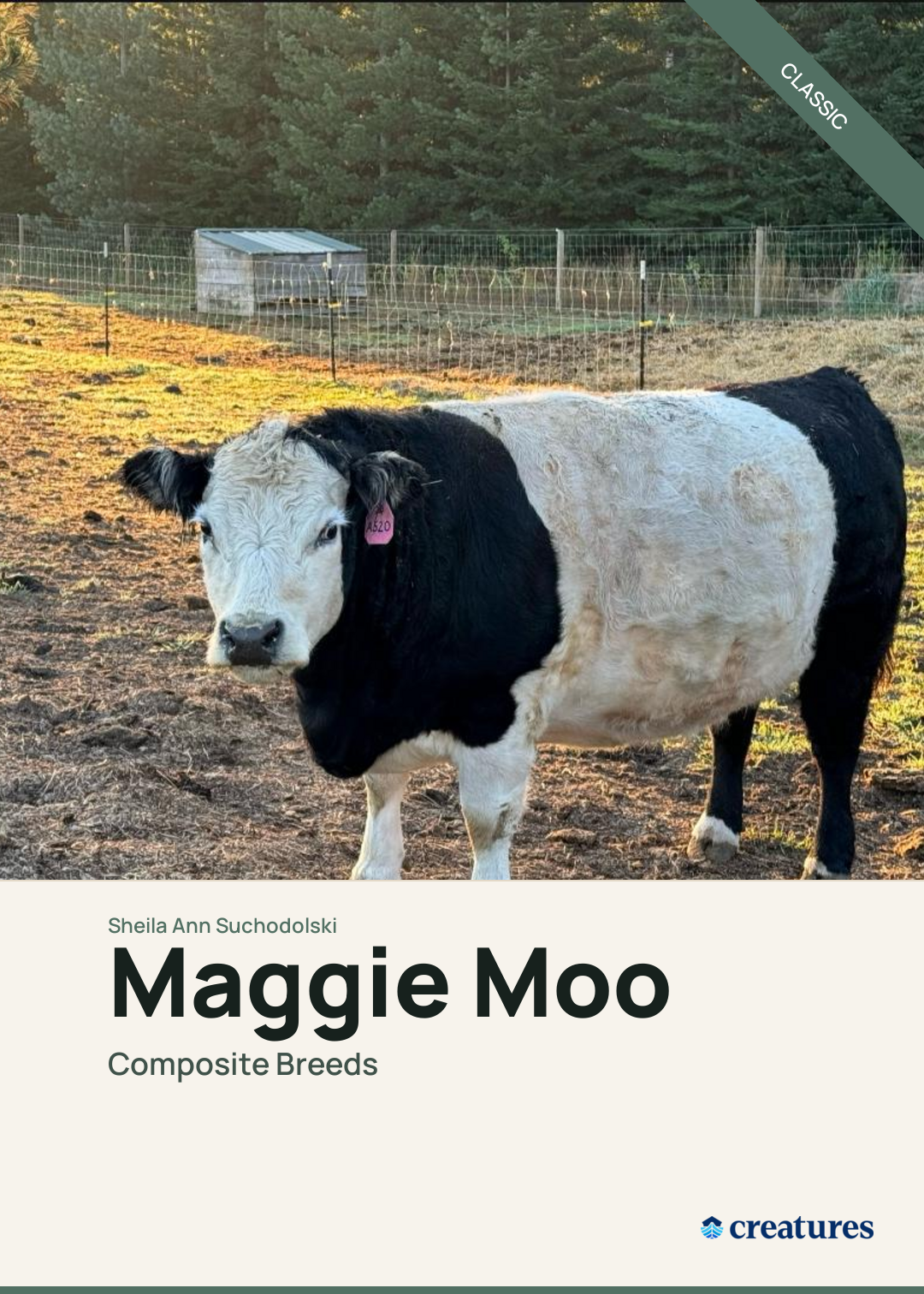 Maggie Moo Creature Card