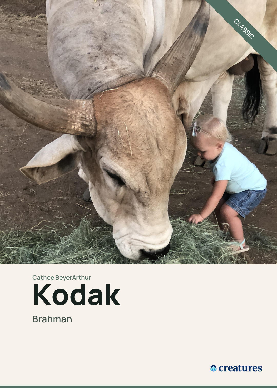 Kodak Creature Card