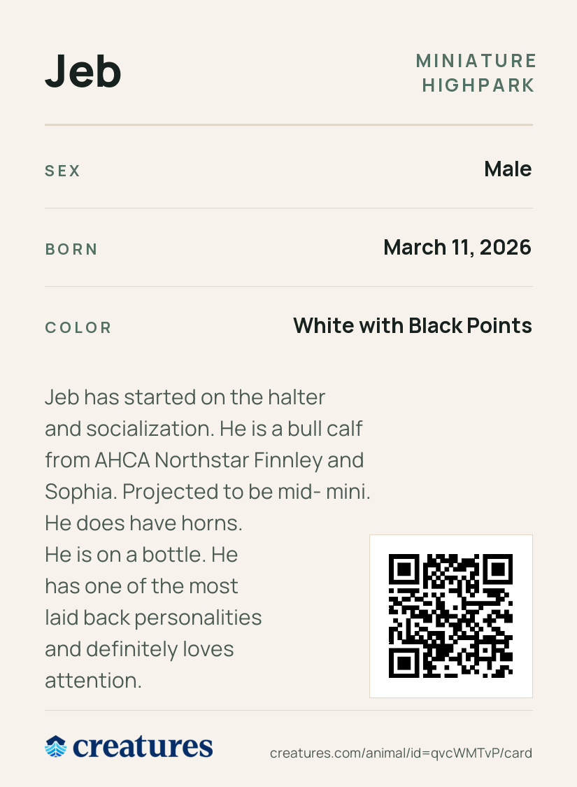Jeb Creature Card back
