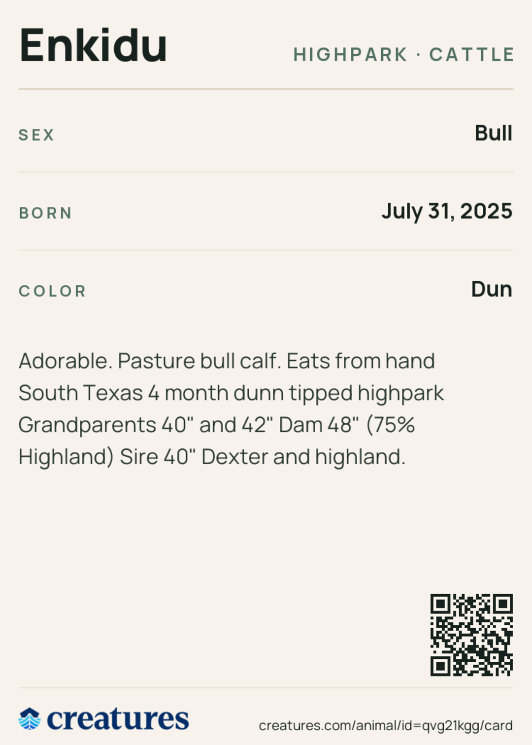 Enkidu Creature Card back