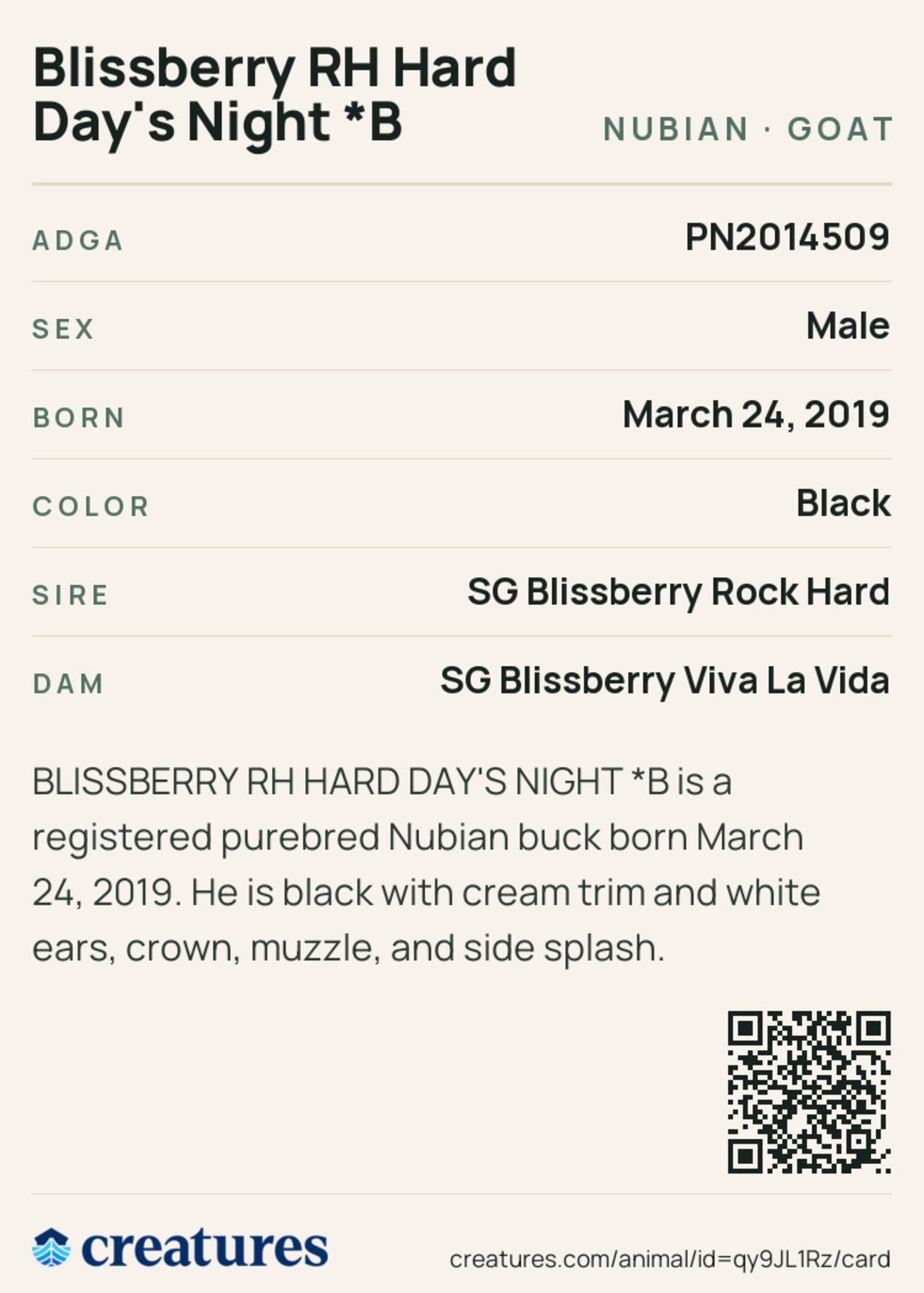 Blissberry RH Hard Day's Night *B Creature Card back