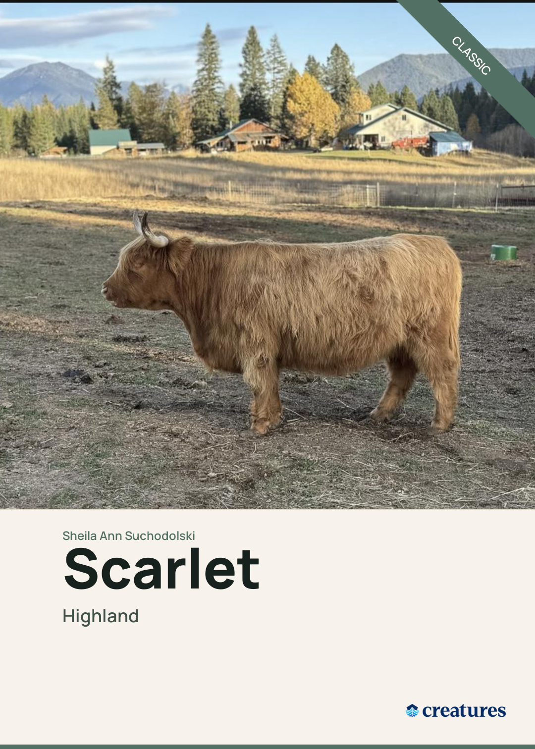 Scarlet Creature Card