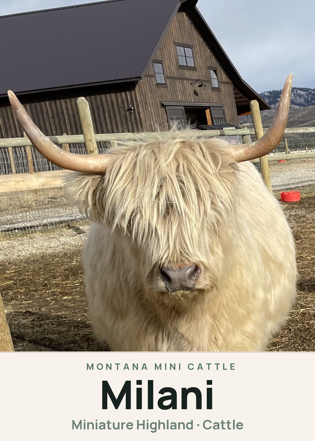 Milani Creature Card