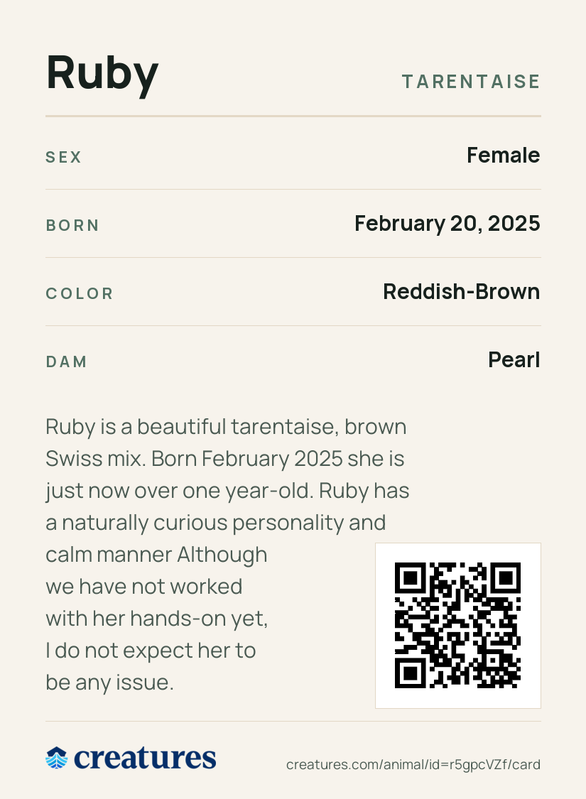 Ruby Creature Card back