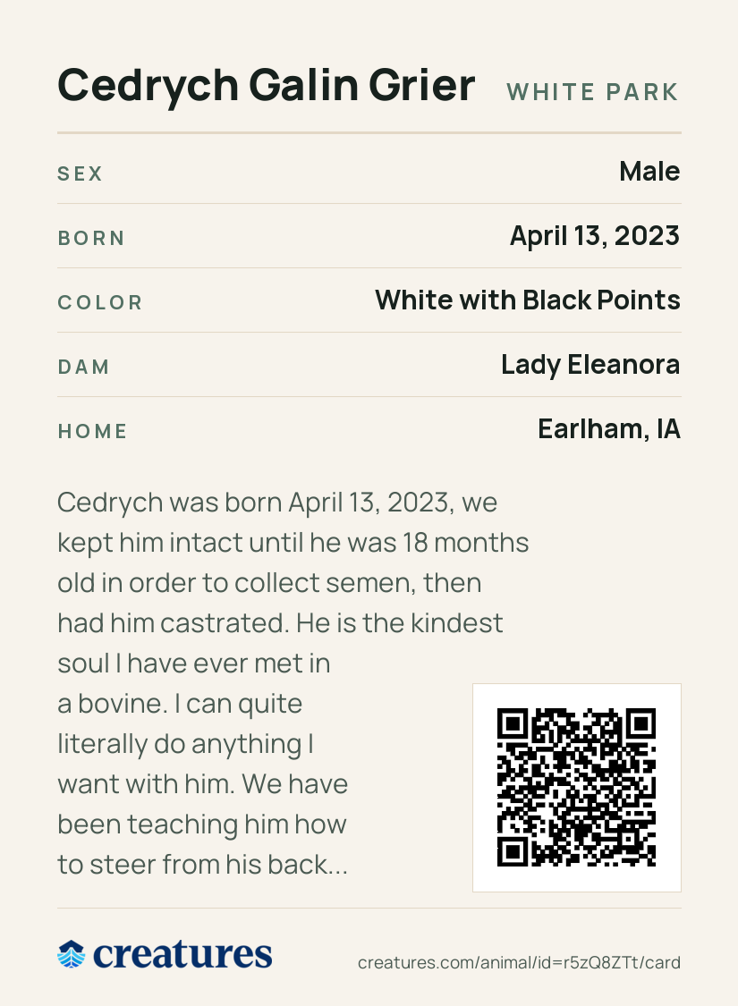 Cedrych Galin Grier Creature Card back