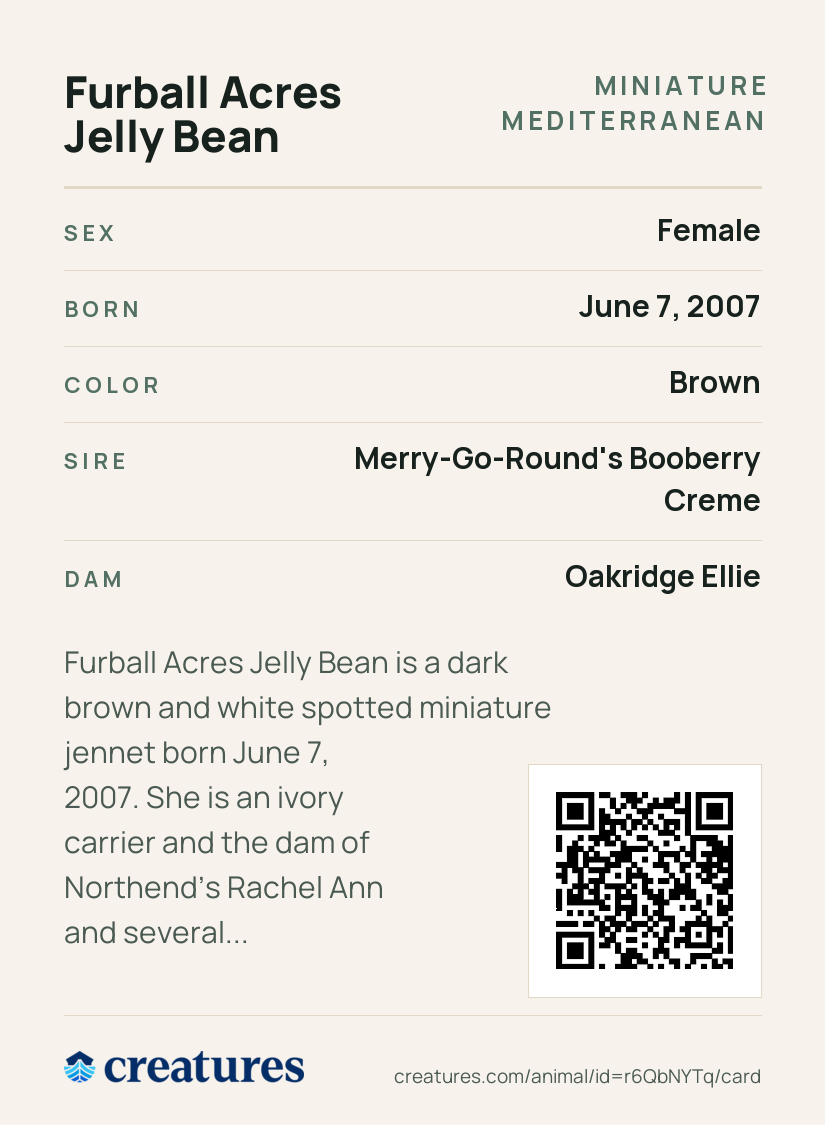 Furball Acres Jelly Bean Creature Card back