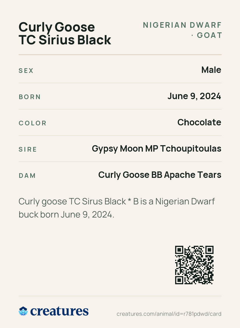 Curly Goose TC Sirius Black Creature Card back