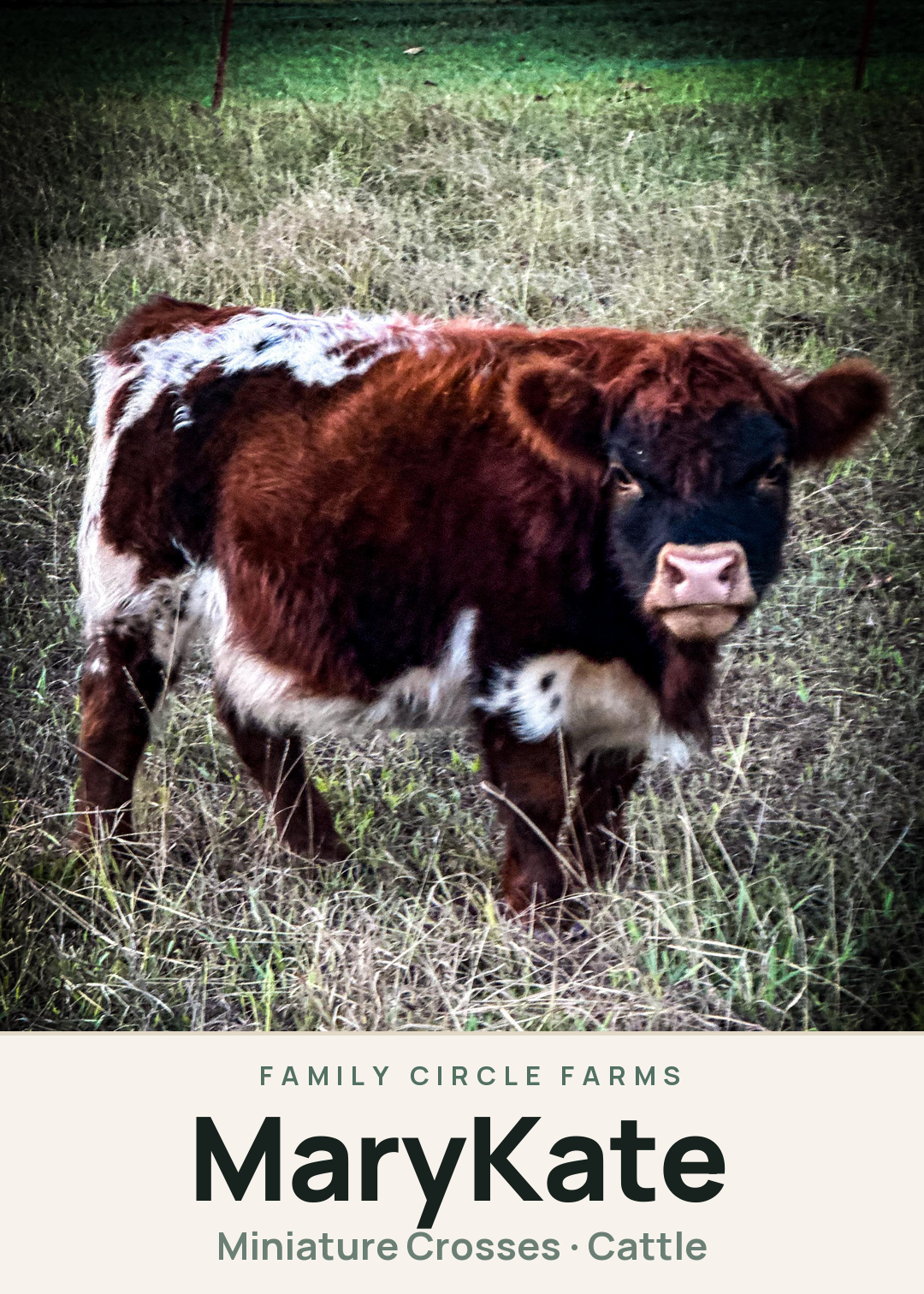 MaryKate Creature Card