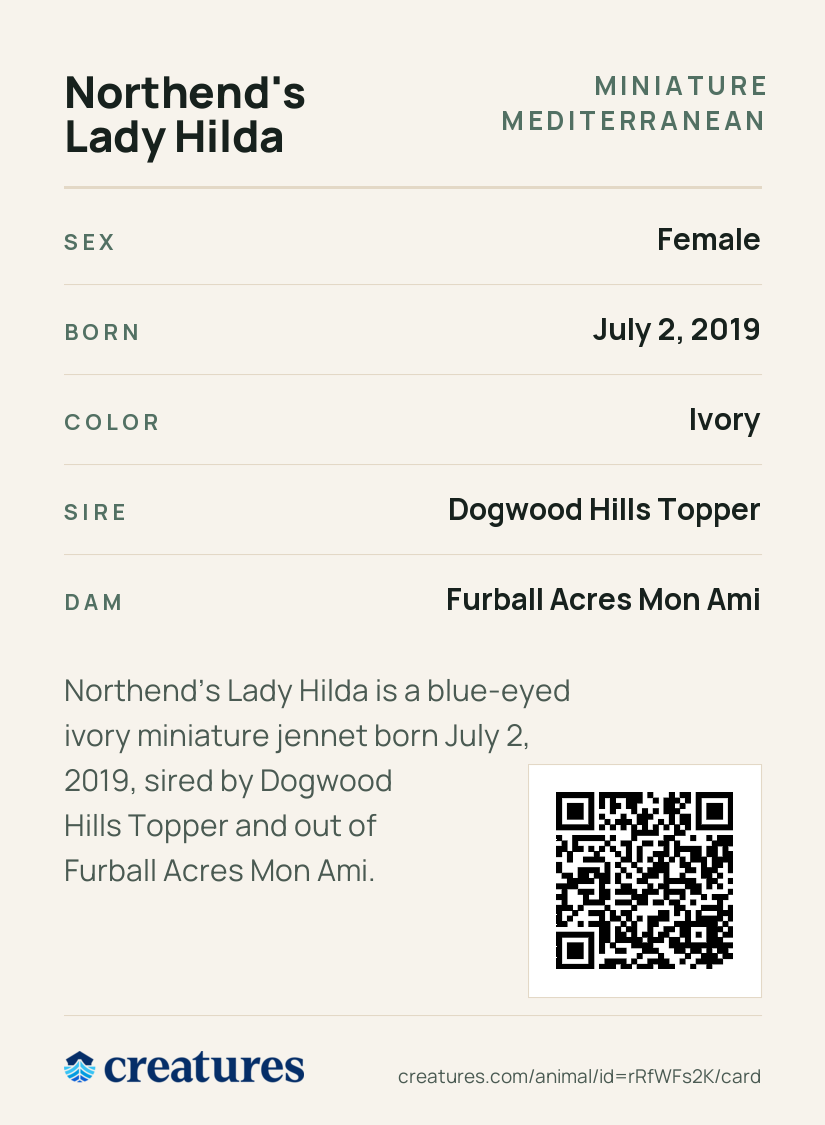 Northend's Lady Hilda Creature Card back