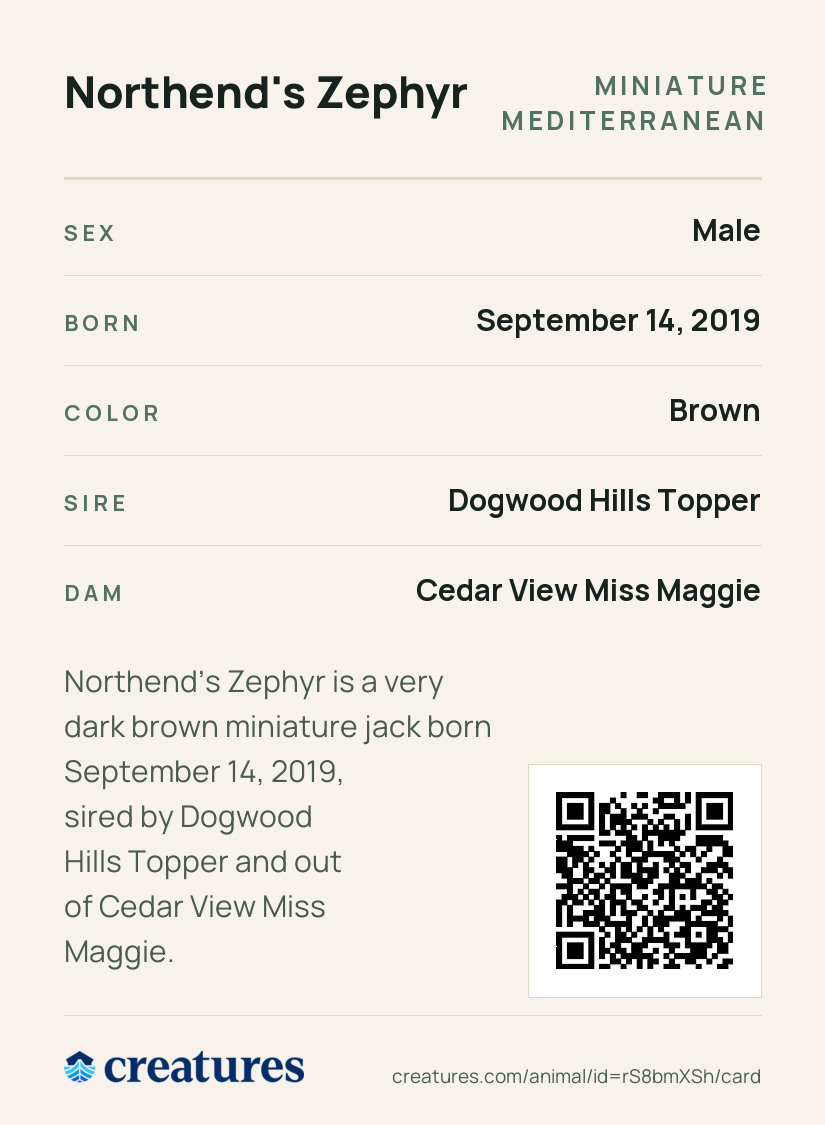 Northend's Zephyr Creature Card back