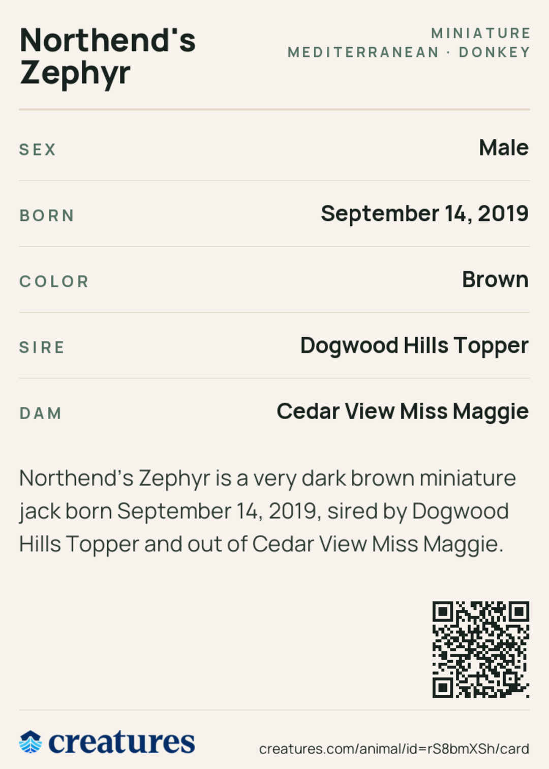 Northend's Zephyr Creature Card back