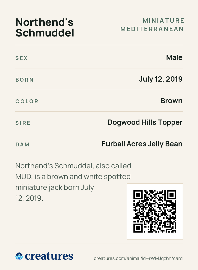 Northend's Schmuddel Creature Card back