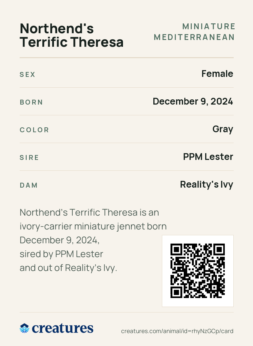 Northend's Terrific Theresa Creature Card back