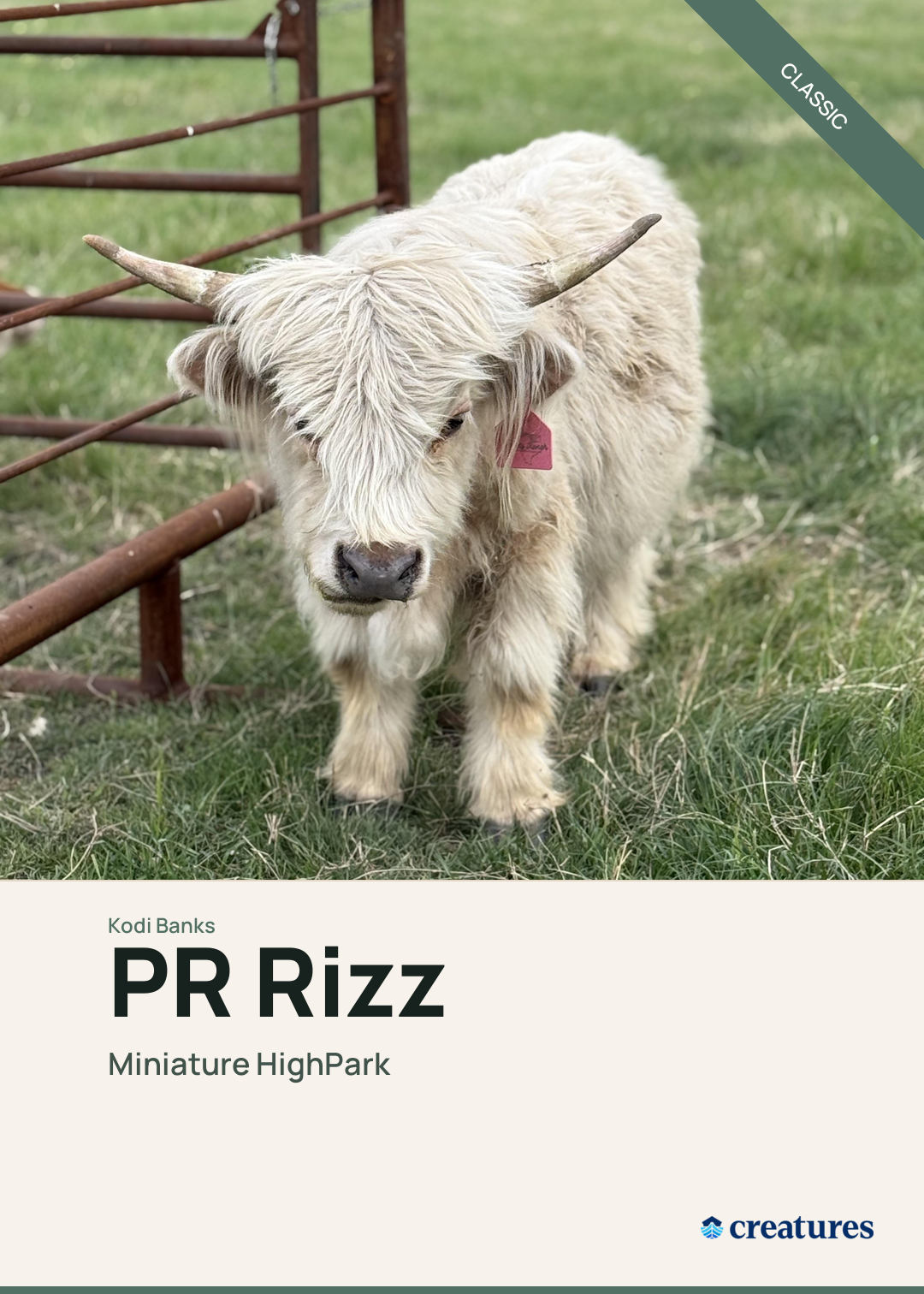 PR Rizz Creature Card