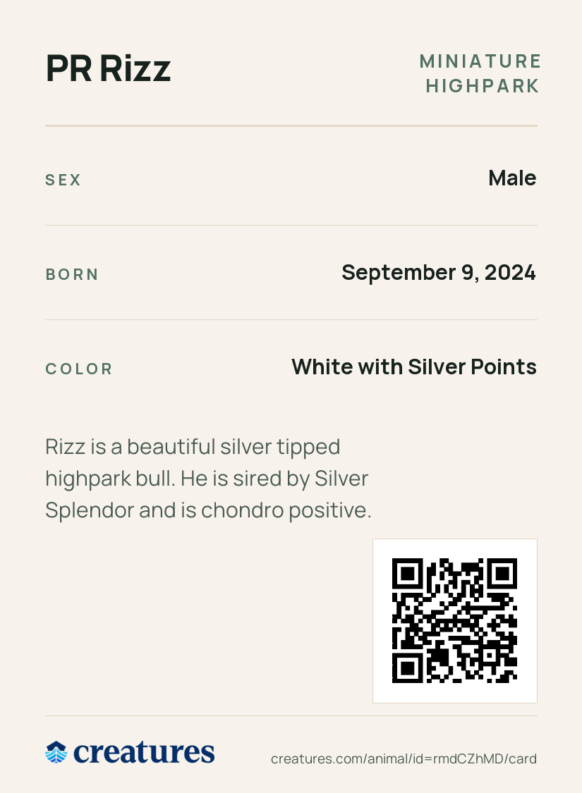 PR Rizz Creature Card back