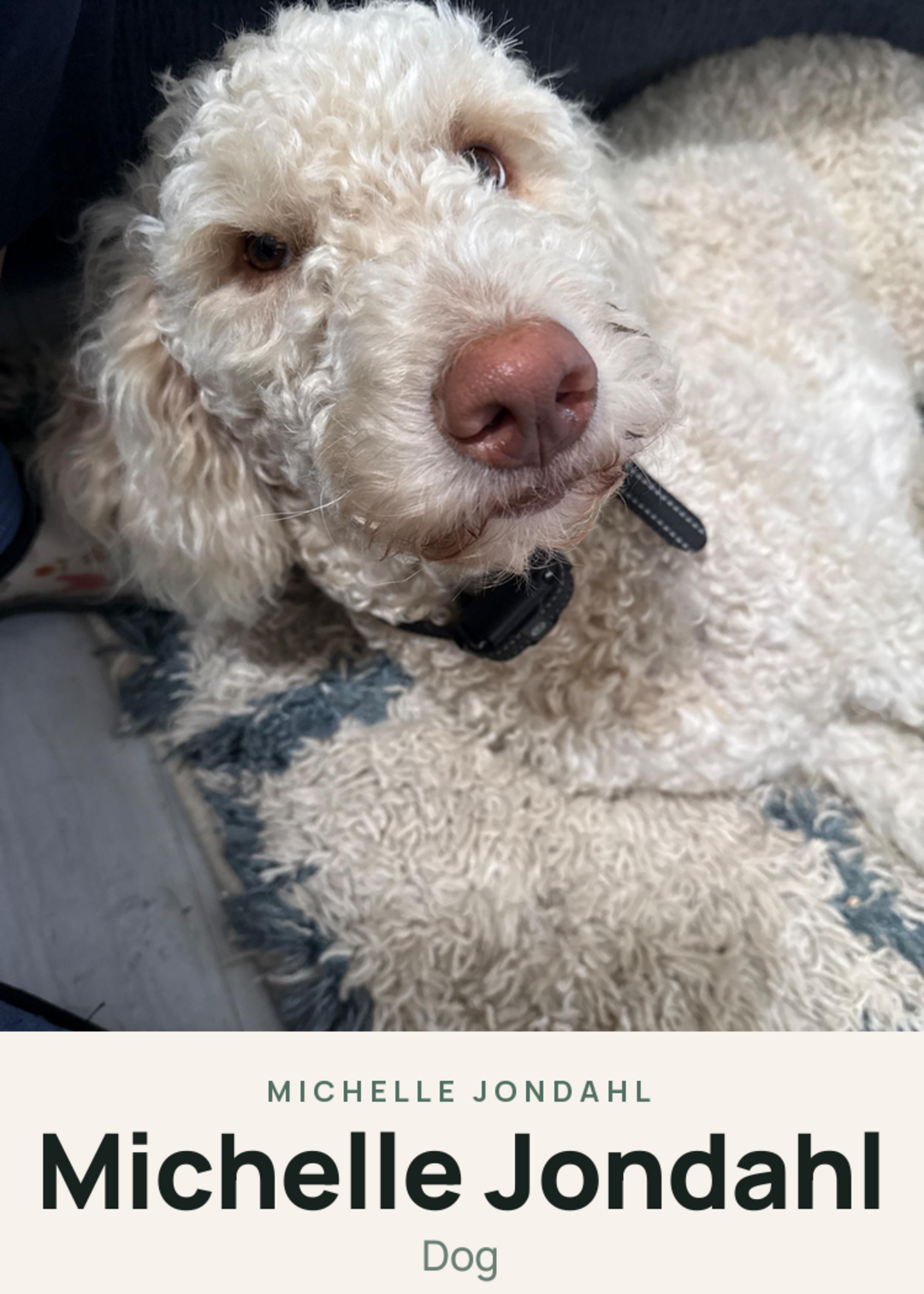 Michelle Jondahl Creature Card