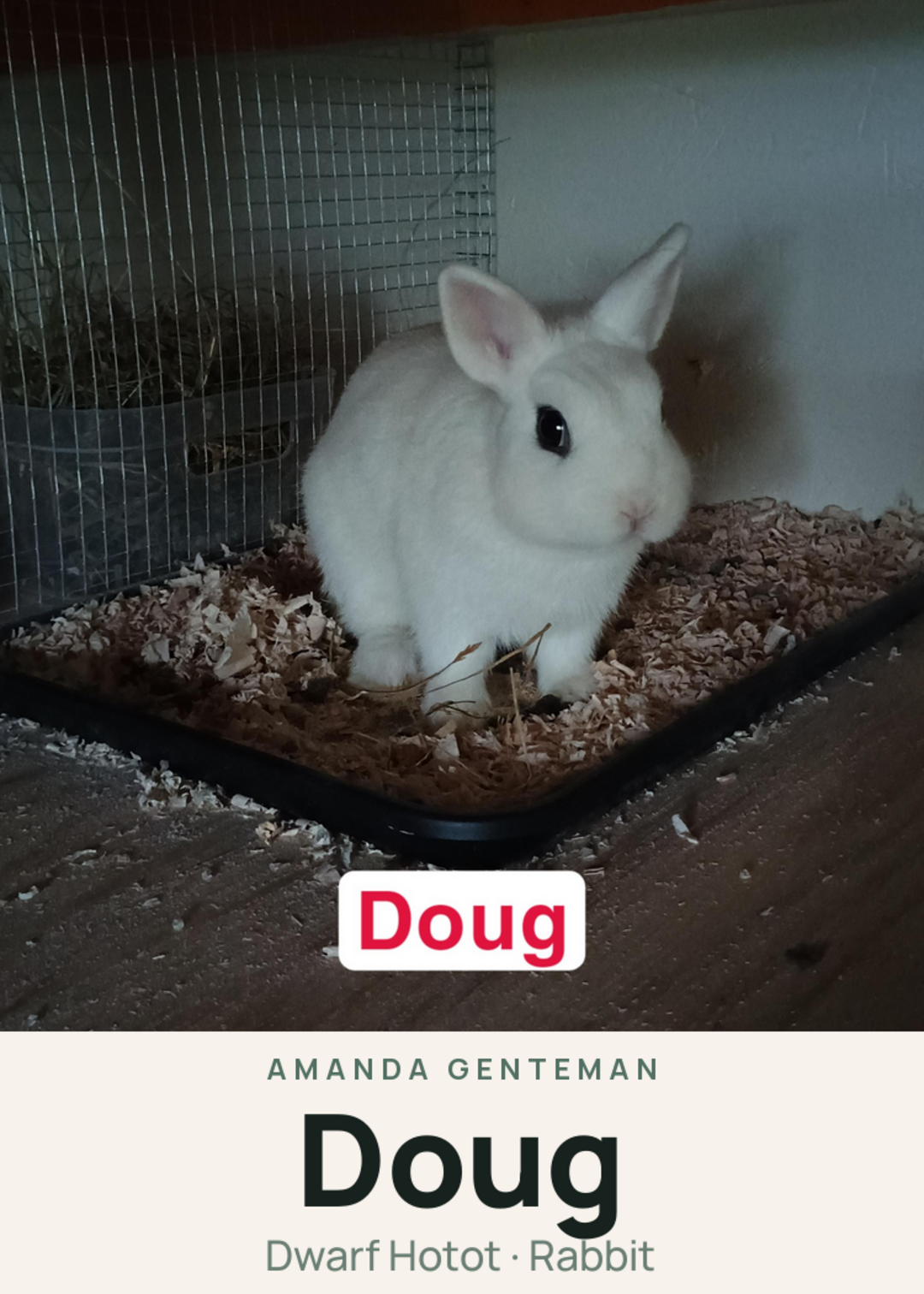 Doug Creature Card