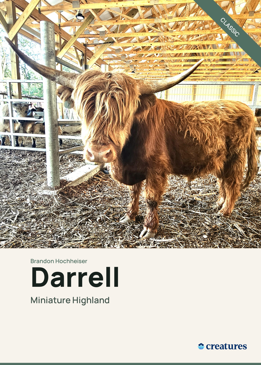 Darrell Creature Card