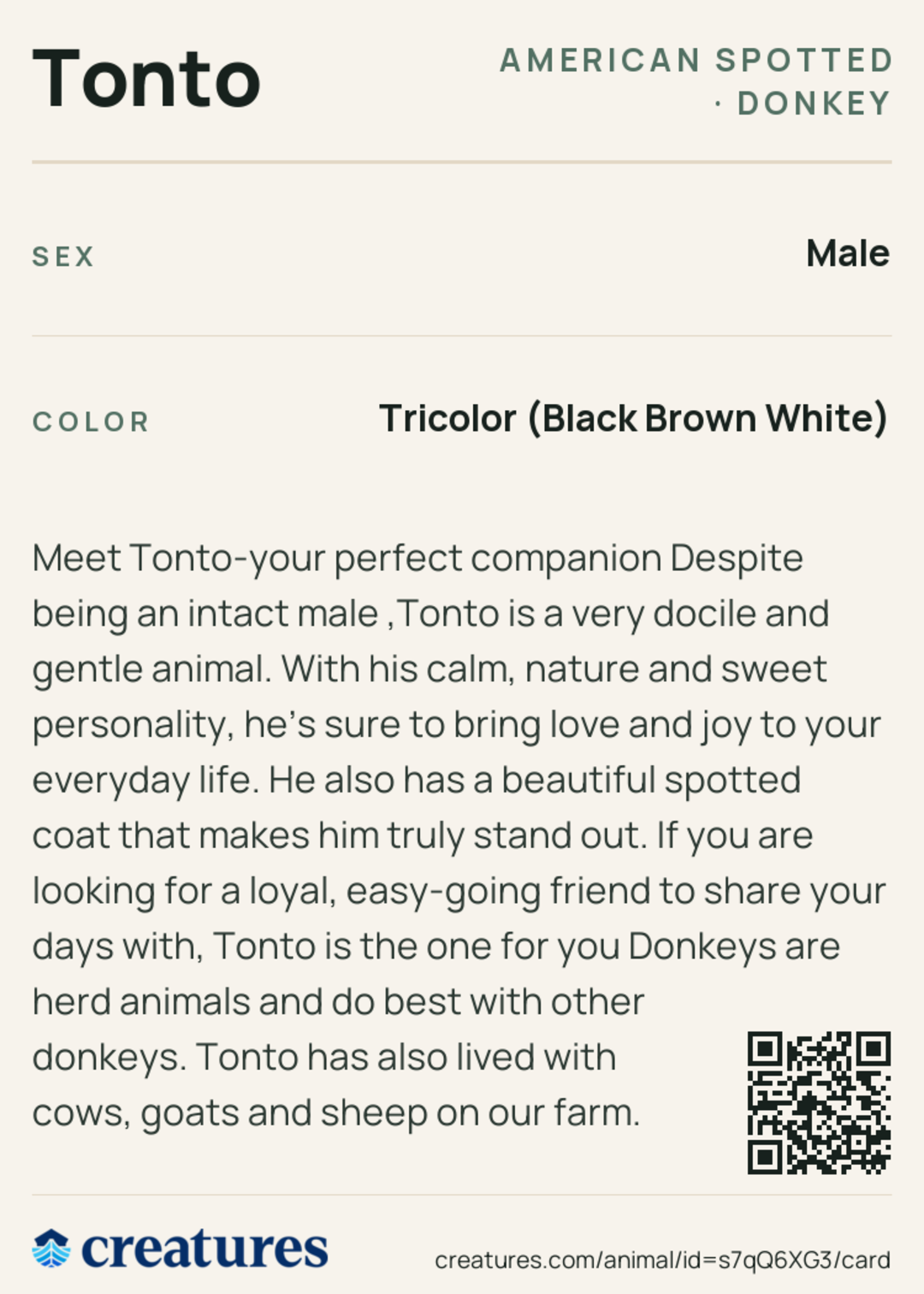 Tonto Creature Card back