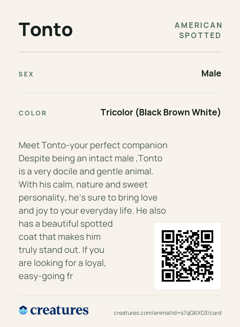 Tonto Creature Card back