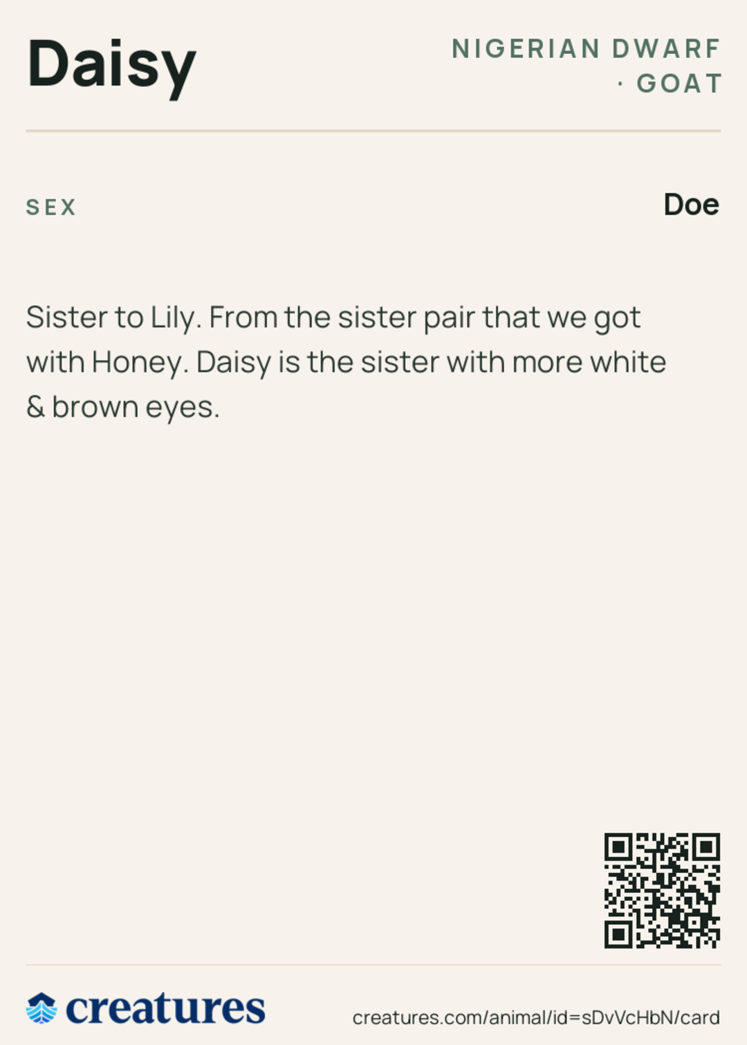 Daisy Creature Card back