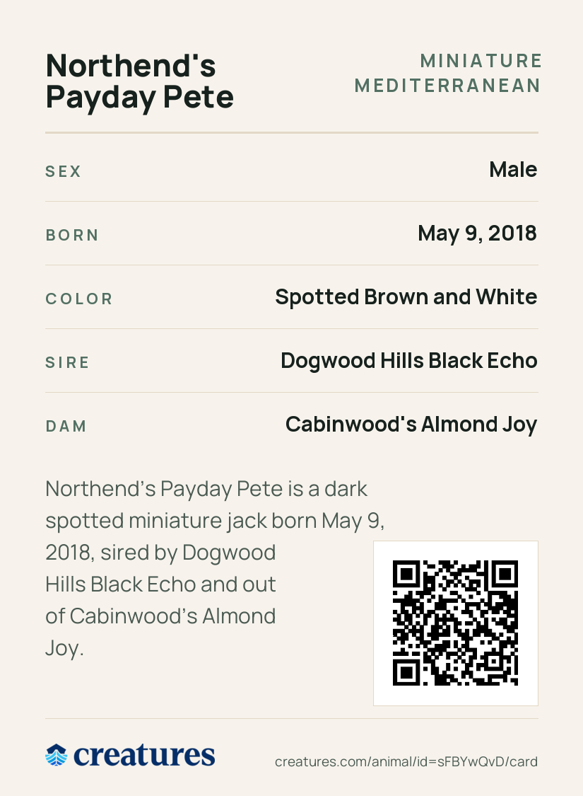 Northend's Payday Pete Creature Card back