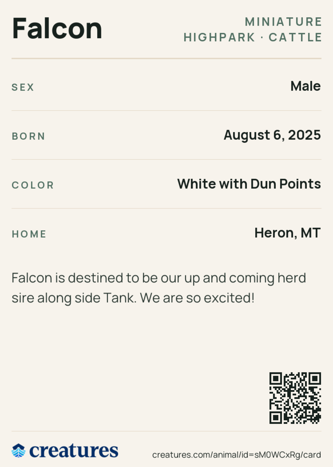 Falcon Creature Card back